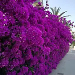 Bed & Breakfast Su Murdegu Cagliari