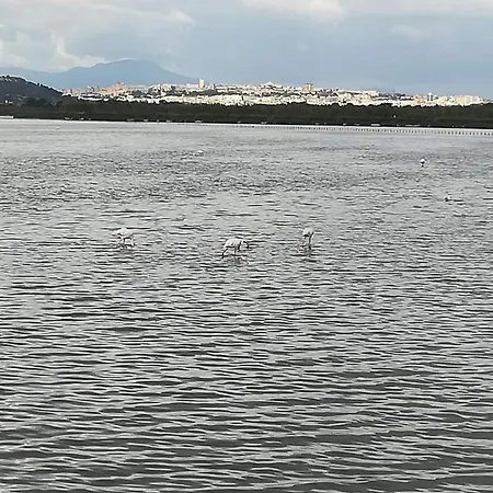 Su Murdegu * Cagliari