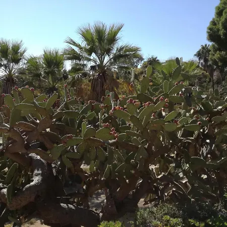 Bed & Breakfast Su Murdegu