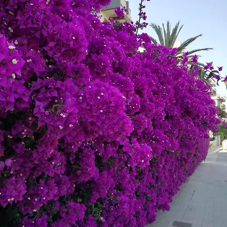 Bed & Breakfast Su Murdegu Cagliari