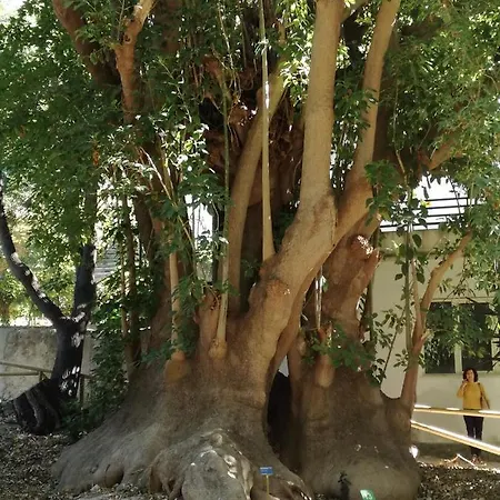 Su Murdegu فندق مبيت وإفطار كالياري